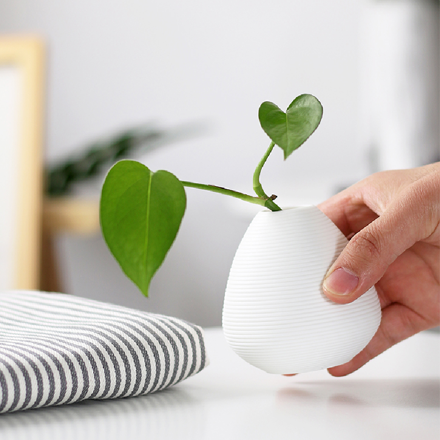 1pc Small Ceramic Hydroponics  - đánh giá và giá Home Office Layout