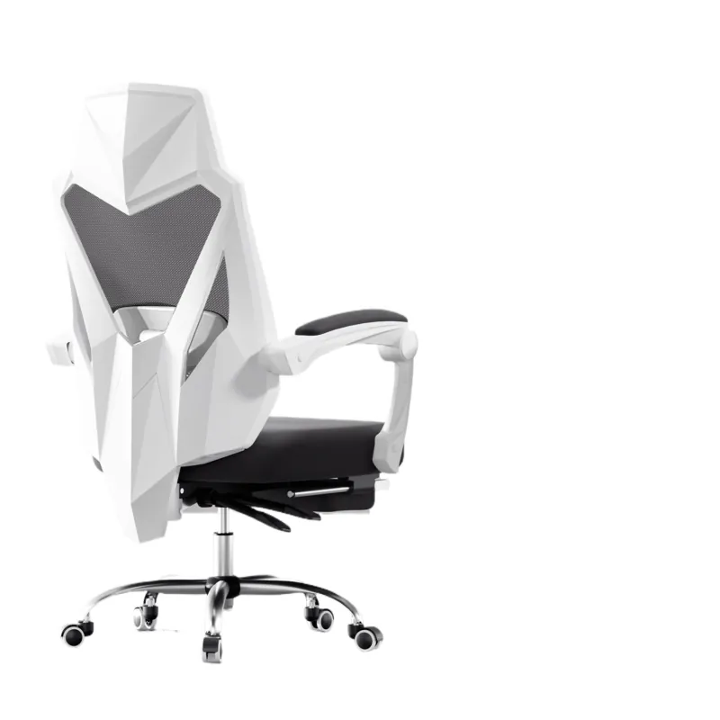 Ergonomic Office Chair for Hba - đánh giá và giá Ergonomic Office Chair
