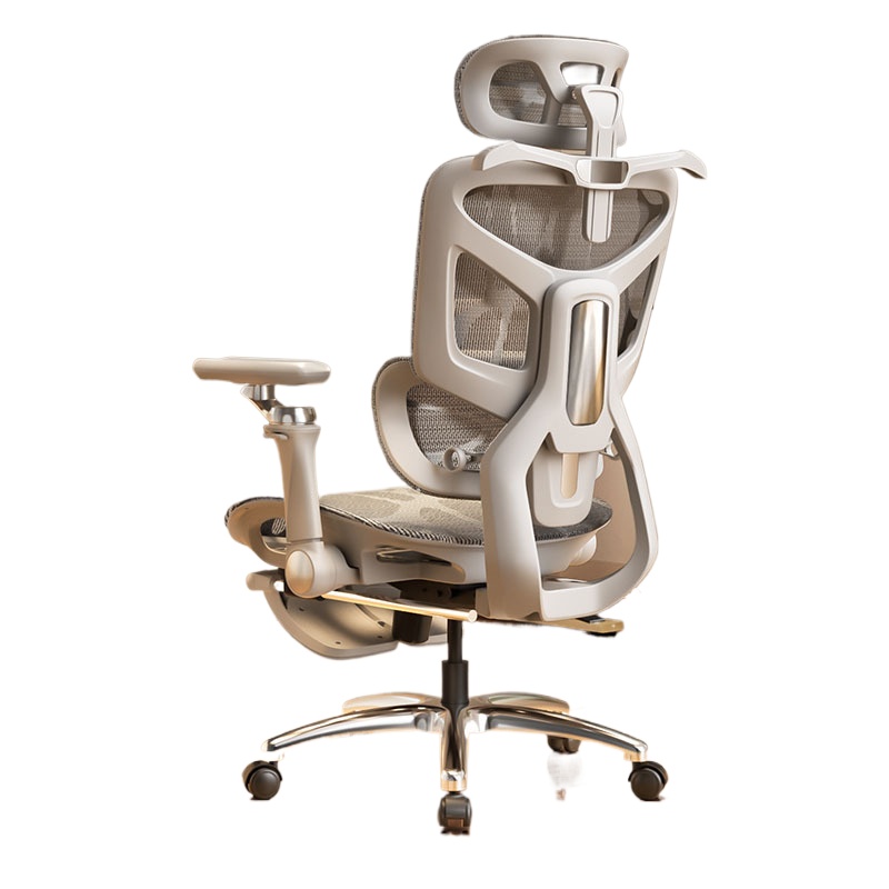 Ergonomic Office Chair for Com - đánh giá và giá Ergonomic Office Chair
